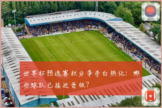 世界杯预选赛积分争夺白热化:哪些球队已接近晋级?