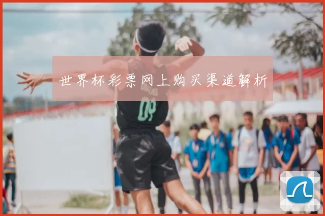 世界杯彩票网上购买渠道解析