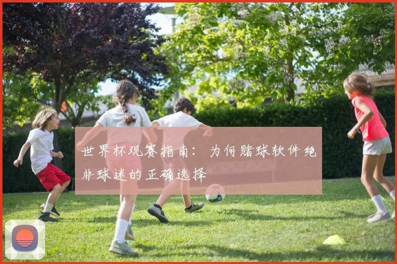 世界杯观赛指南：为何赌球软件绝非球迷的正确选择