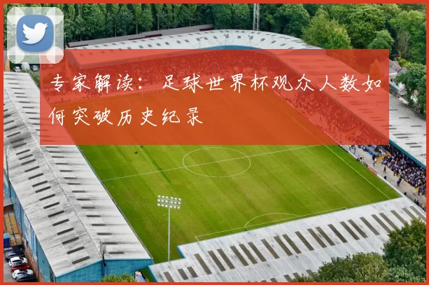 专家解读：足球世界杯观众人数如何突破历史纪录