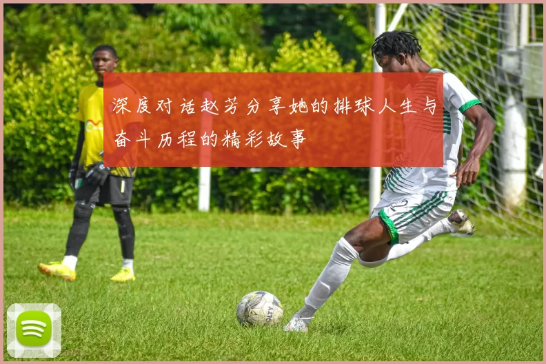 深度对话赵芳分享她的排球人生与奋斗历程的精彩故事