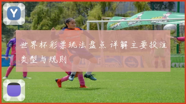 世界杯彩票玩法盘点 详解主要投注类型与规则