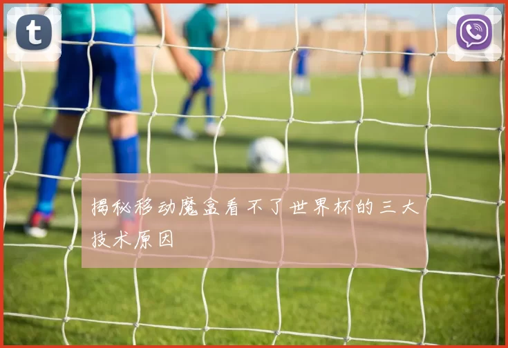 揭秘移动魔盒看不了世界杯的三大技术原因