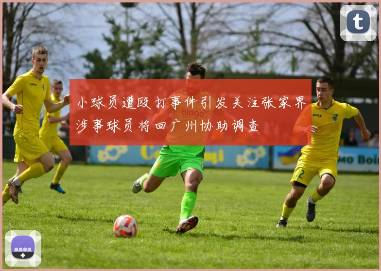 小球员遭殴打事件引发关注张家界涉事球员将回广州协助调查