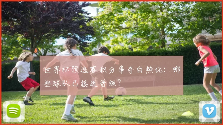 世界杯预选赛积分争夺白热化:哪些球队已接近晋级?