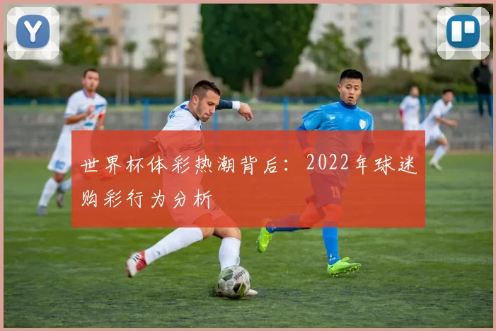 世界杯体彩热潮背后：2022年球迷购彩行为分析