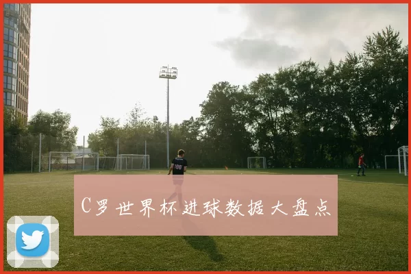 C罗世界杯进球数据大盘点