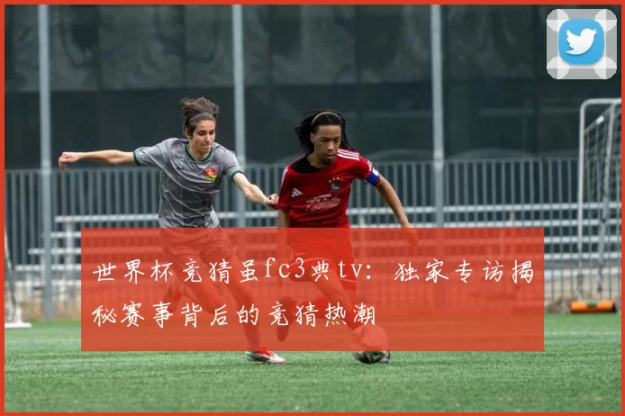 世界杯竞猜虽fc3典tv：独家专访揭秘赛事背后的竞猜热潮