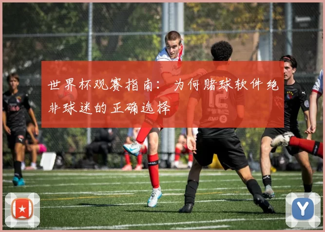 世界杯观赛指南:为何赌球软件绝非球迷的正确选择