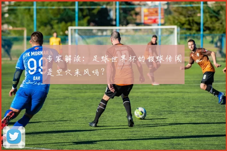 专家解读：足球世界杯的假球传闻是空穴来风吗？