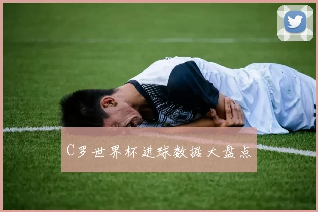 C罗世界杯进球数据大盘点