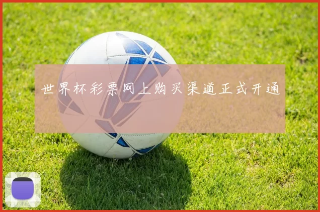 世界杯彩票网上购买渠道正式开通