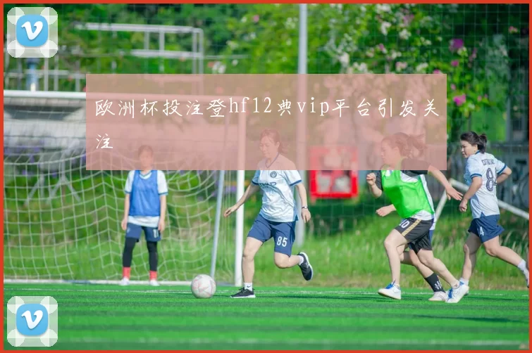 欧洲杯投注登hf12典vip平台引发关注
